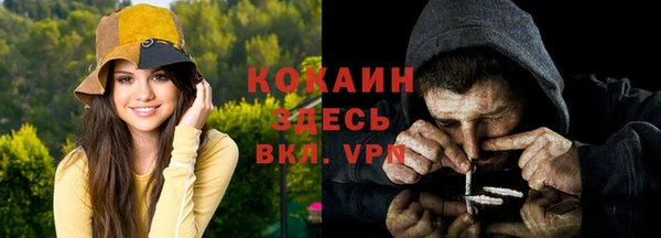 молекула духа Алексеевка