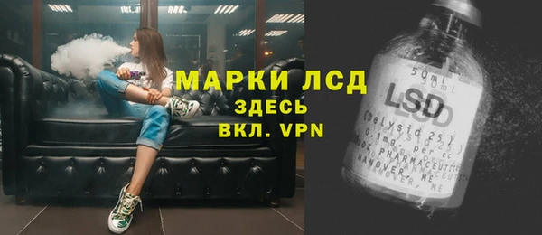 спайс Арсеньев