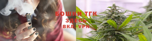 spice Аркадак