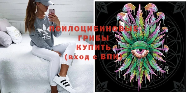 spice Аркадак
