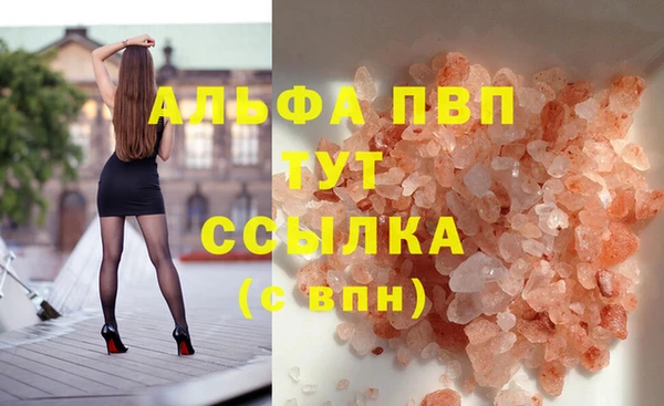 spice Аркадак