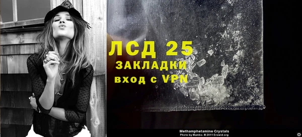 spice Аркадак