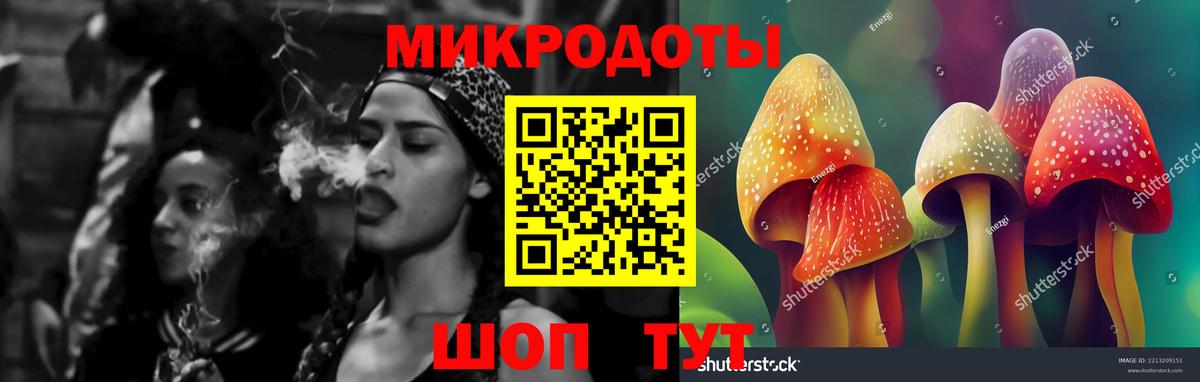 Галлюциногенные грибы Psilocybe Новороссийск