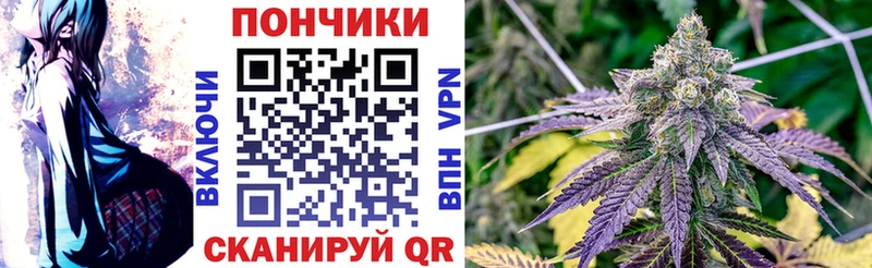 Каннабис конопля  Новороссийск 